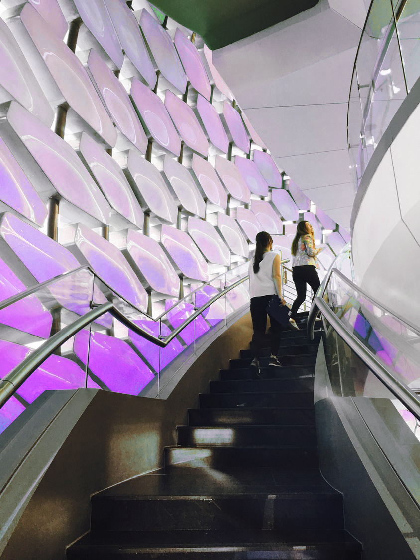 Img 2570 (edited)-purple