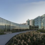 The yard at chicago shakespeare theater